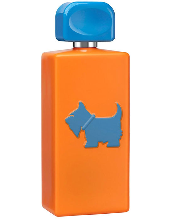 FERRIONI NEON VIBES HEY DUDE! 100ML EDT